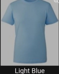 t1