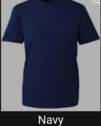 t2